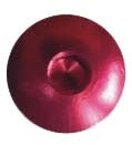 Keiti Screen Screw KIT RD