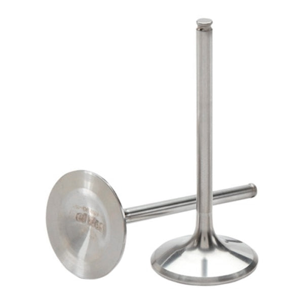 HotCams Intake Valve Titanium YAM