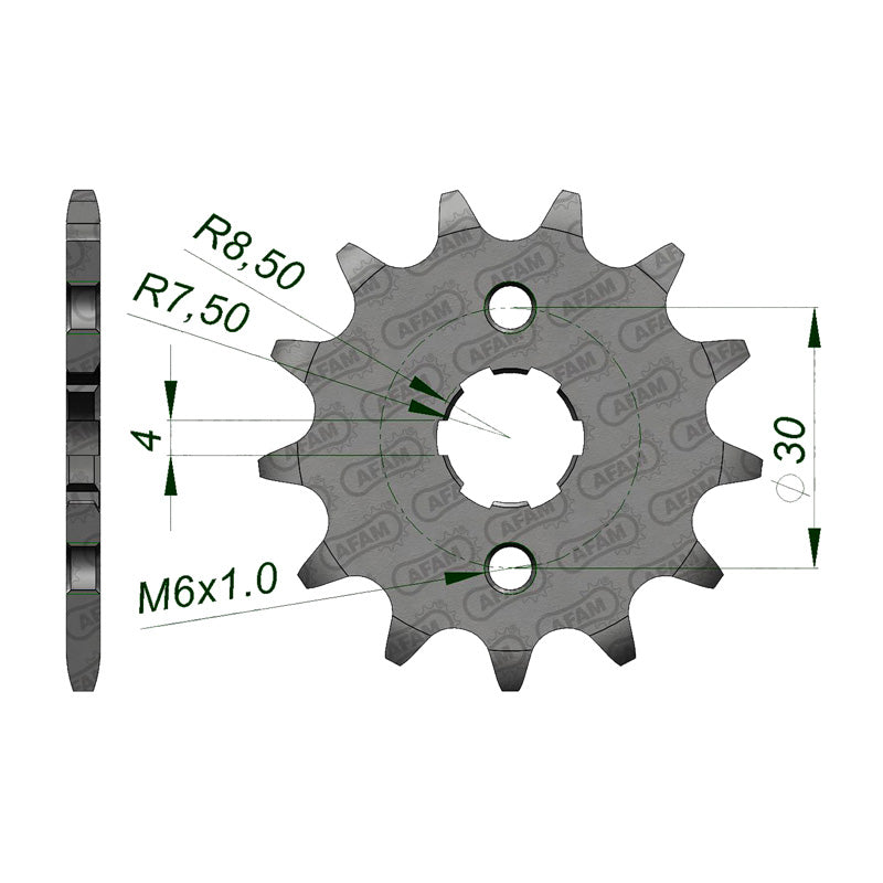 Afam AFAM Front Sprocket 420P 13T - (20101-13)