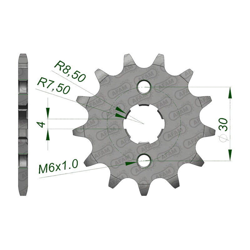 Afam AFAM Front Sprocket 420P 16T - (20101-16)