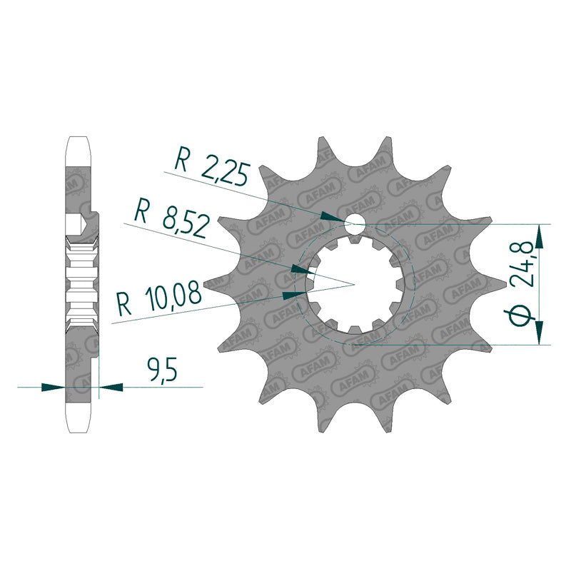 Afam AFAM Front Sprocket 428P 13T - (94202-13)