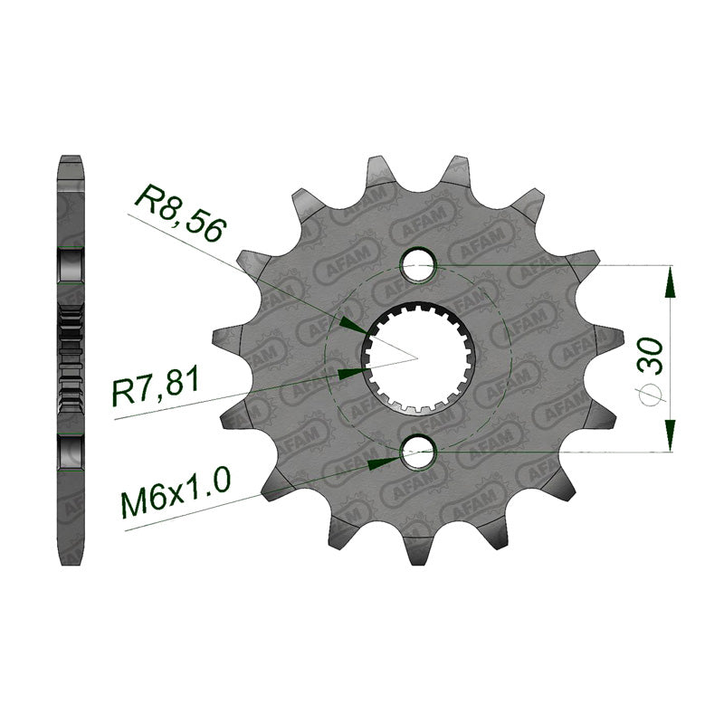 Afam AFAM Front Sprocket 420P 15T - (20105-15)
