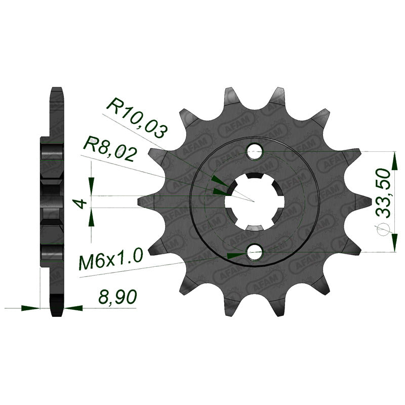 Afam AFAM Front Sprocket 520P 13T - (21300-13)
