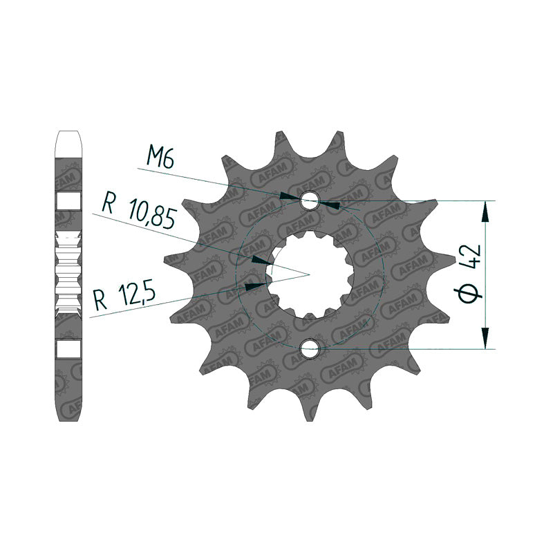 Afam AFAM Front Sprocket 530P 17T - (24500-17)
