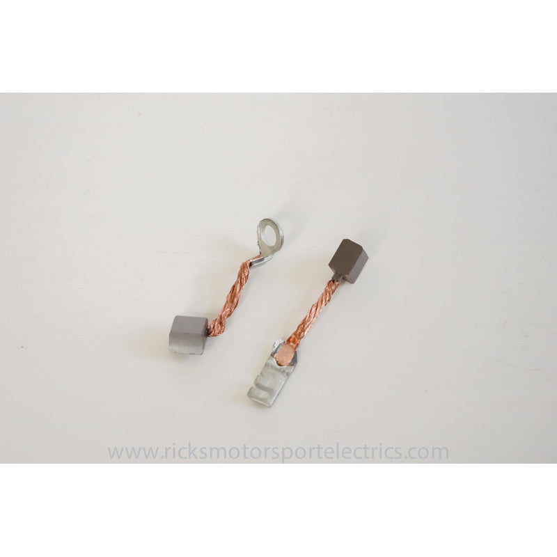 Rick's STARTER BRUSH KIT
