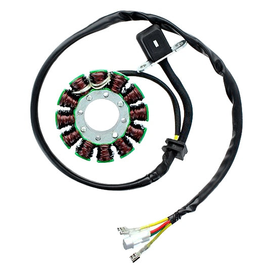 Electrosport Stator KTM