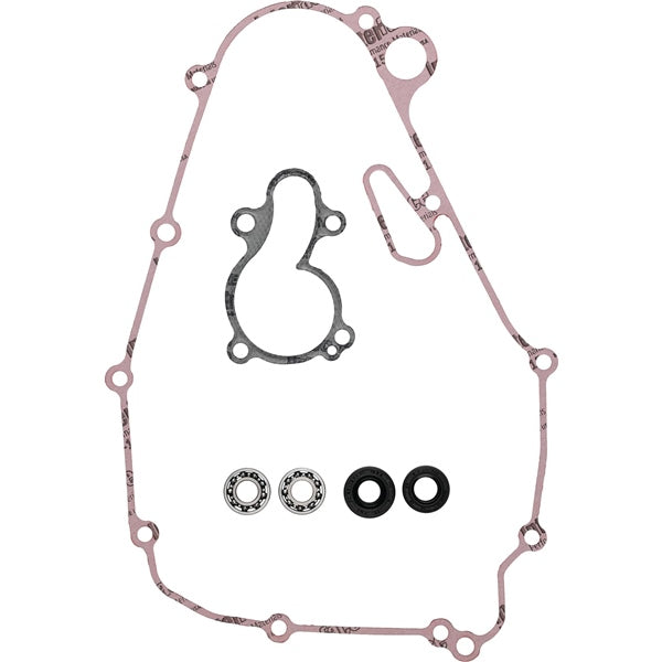 VertexWinderosa Water Pump Repair KIT Kawa Allballs