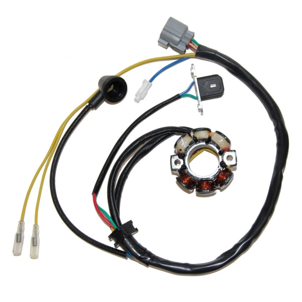 Electrosport Stator Kawa SUZ