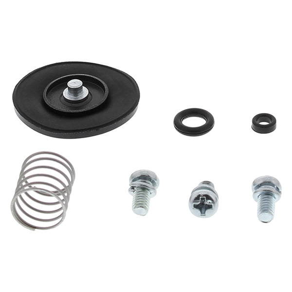 AllBallsRacing Accelerator Pump Rebuild KIT Allballs