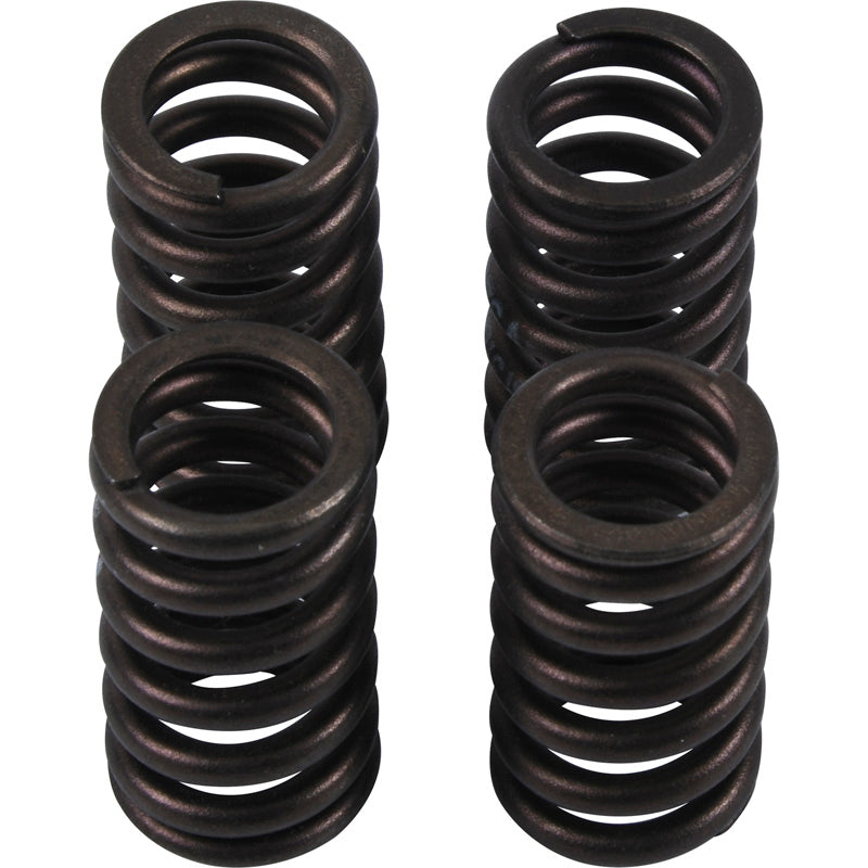 Hotcams VALVE SPRING KIT