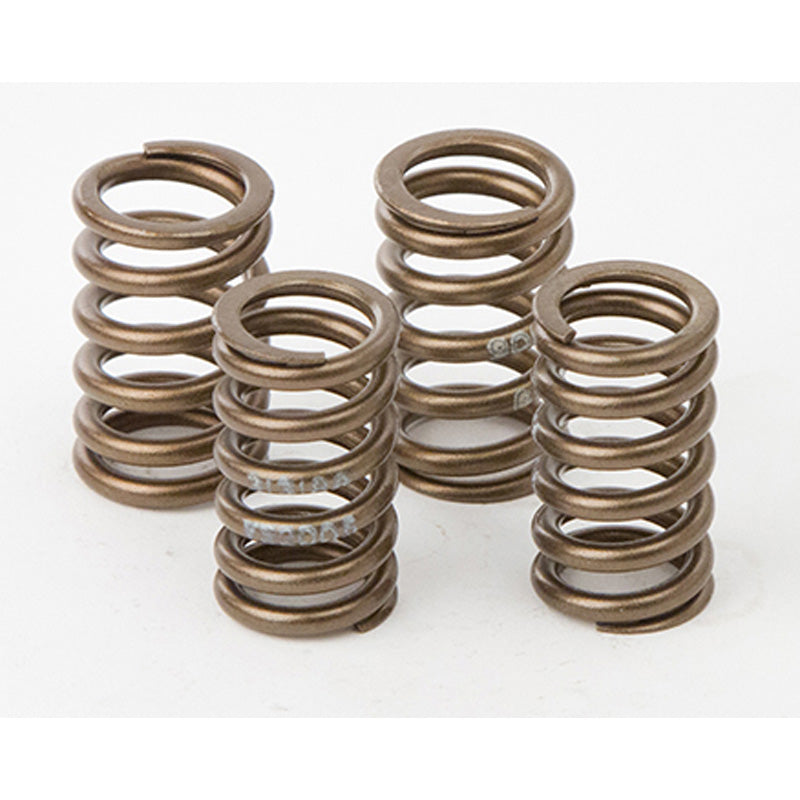 Hotcams VALVE SPRING KIT