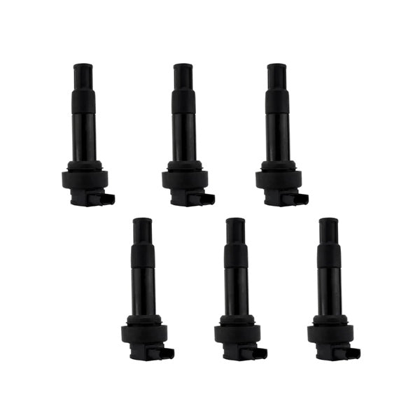 Biker Lab Ignition Coil QTY 6 BMW