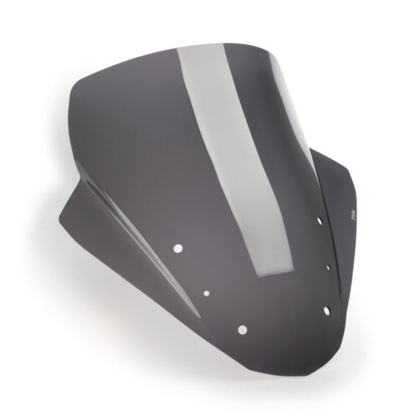 Puig Touring Screen Dsmk BMW