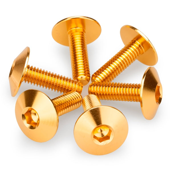Puig Screw KIT Screens M6X20 GLD Univ
