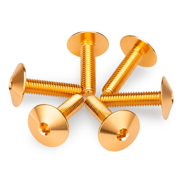 Puig Screw KIT Screens M5X20 GLD Univ