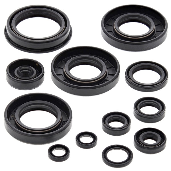 VertexWinderosa OIL Seal SET YAM