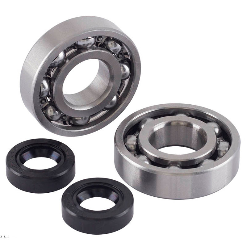 Jasil BEARING AND SEAL KIT - MINARELLI (C3)