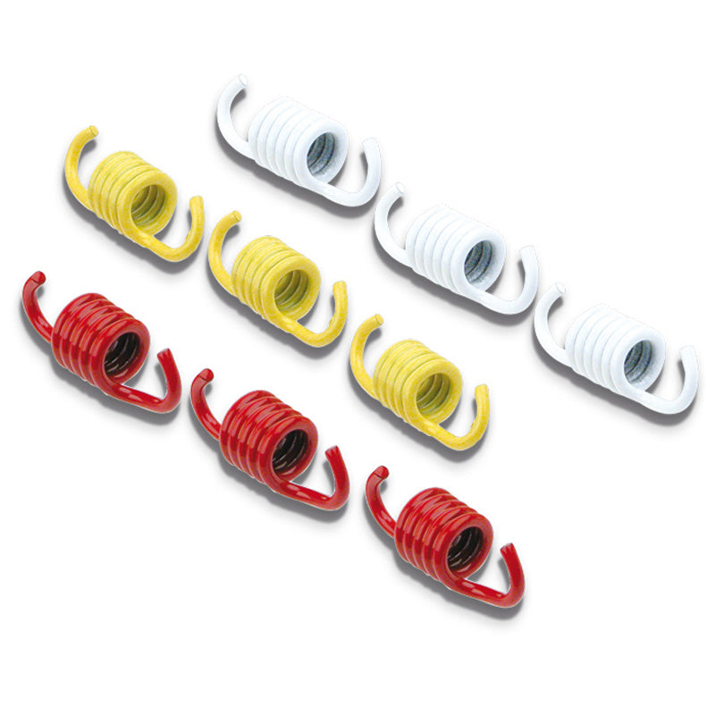 Malossi CLUTCH SPRINGS - MAXI SCOOTER