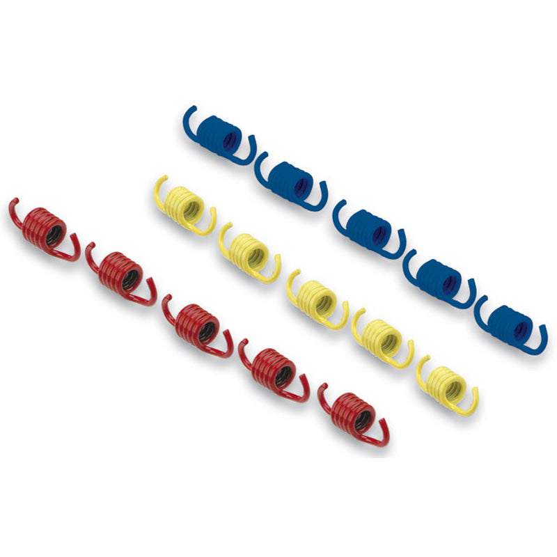 Malossi CLUTCH SPRINGS - MAXI SCOOTER