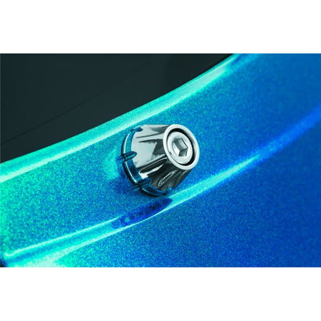 Kuryakyn Windshield Screw CH