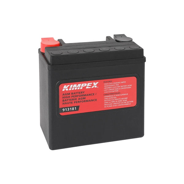 Biker Lab GYZ16HL Battery