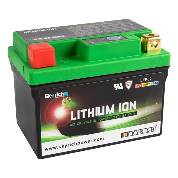 Skyrich LFP02 Lithium ION Battery