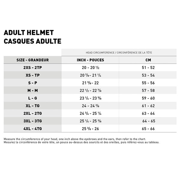 LS2 Thunder Carbon Full-Face Helmet - Carbon